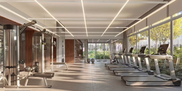 11552dio 15 academia ef personalizado