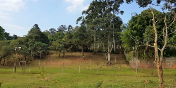 219653c7 797f 4f88 8991 69361e365f621623989389ptkb