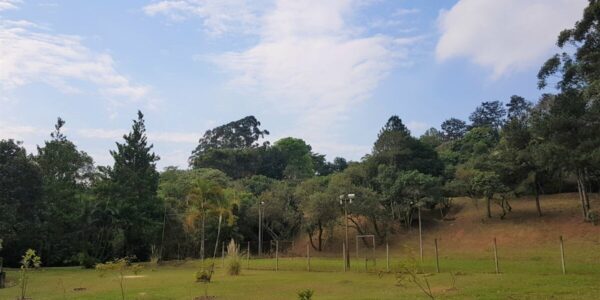 4f0253e5 104a 4504 a12c 4db90984cb151624947577ygkp