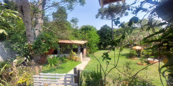 51645eb8 54ef 4323 93e4 3bc98ded52241728300413f9ao