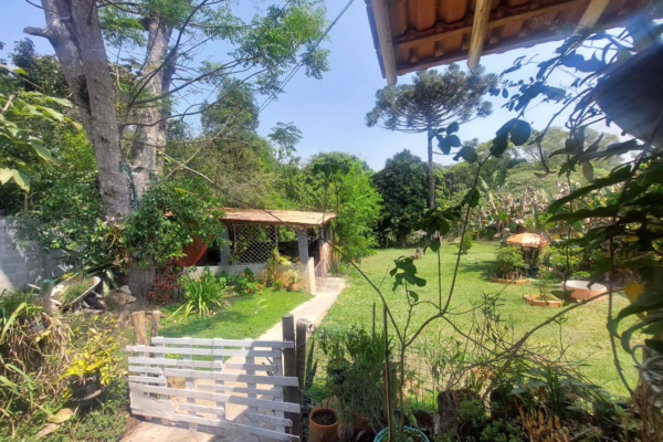 51645eb8 54ef 4323 93e4 3bc98ded52241728300413f9ao