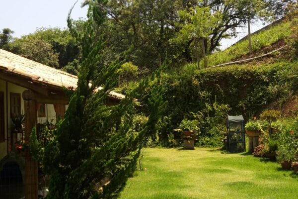 6040bec8 a28f 4f1e b431 848c57c2c1c21691506424uodb