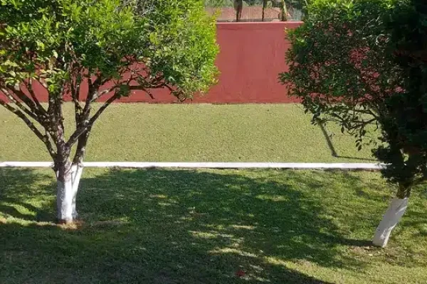 607438672029124