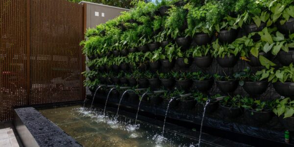 60b87177 bde7 426d 875d 5719b3502cbf