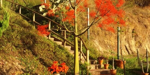 62b54914 ed26 42f7 acd4 b072cd5fa61e1691506424nvv8