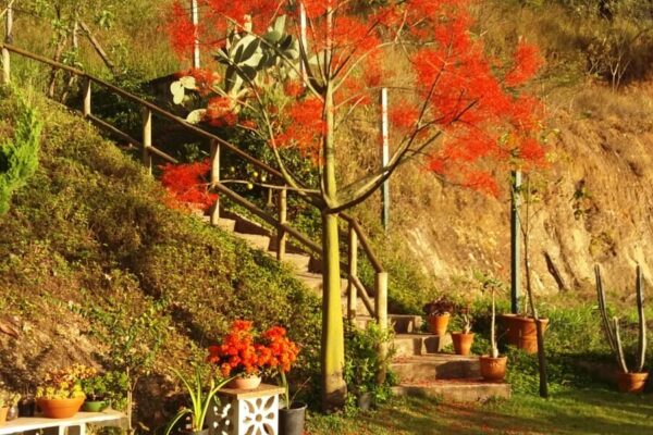 62b54914 ed26 42f7 acd4 b072cd5fa61e1691506424nvv8