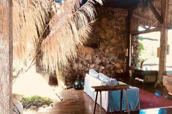 674822f0 8b18 44a9 b545 f148a8d1b9891625354726cyto