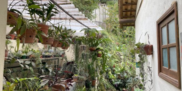 680756c3 1295 4581 8bba 13852b77a0e21691176059grml