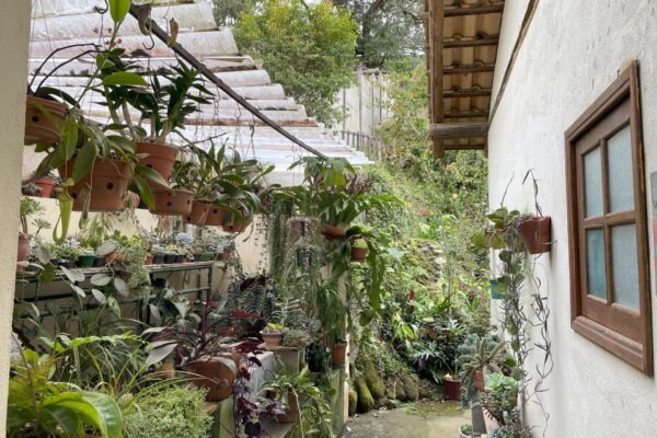 680756c3 1295 4581 8bba 13852b77a0e21691176059grml