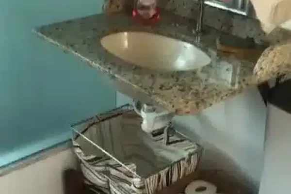 833535604408156