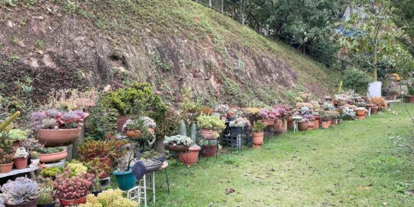 ae83ad77 ba46 480e bfc8 0bd2a9e4b904169117633960ti