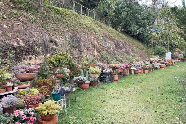 ae83ad77 ba46 480e bfc8 0bd2a9e4b904169117633960ti