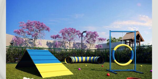 apresentação aneri cambuci página 10