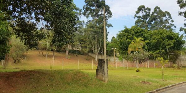 be30569d d161 4bde bf9e efd07ed9d3ee1627416041qzjt