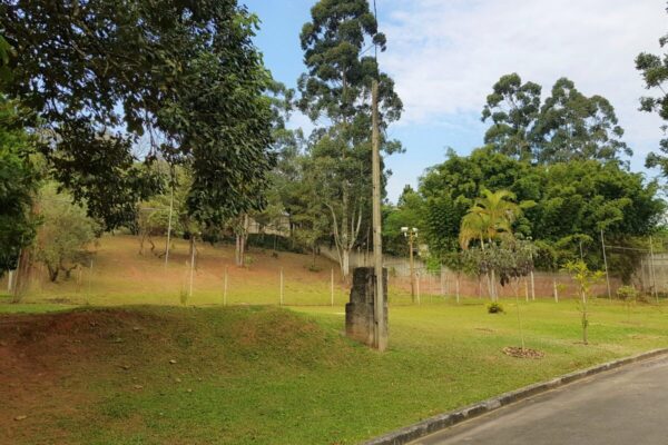 be30569d d161 4bde bf9e efd07ed9d3ee1627416041qzjt