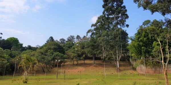 df6cfe58 21ef 4fca 9e91 88581c2568311626492559tdob