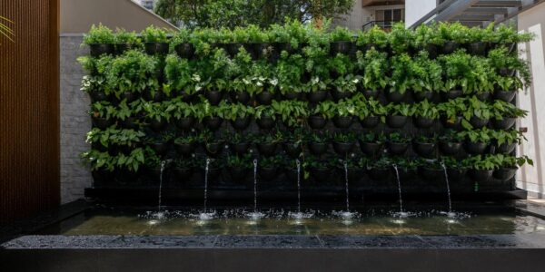 e5e0ded1 2f0a 4725 b4ef eaf5fdea8b62