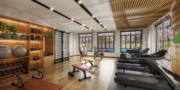 excellence guedala fitness scaled 1