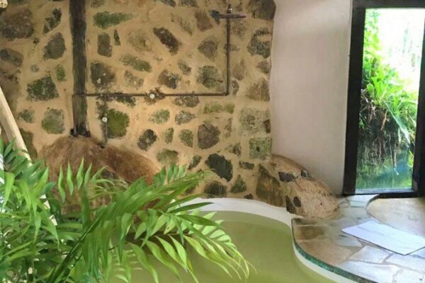 f4cc3289 268d 42b6 8274 71fb3d51e9ce1626287346d657