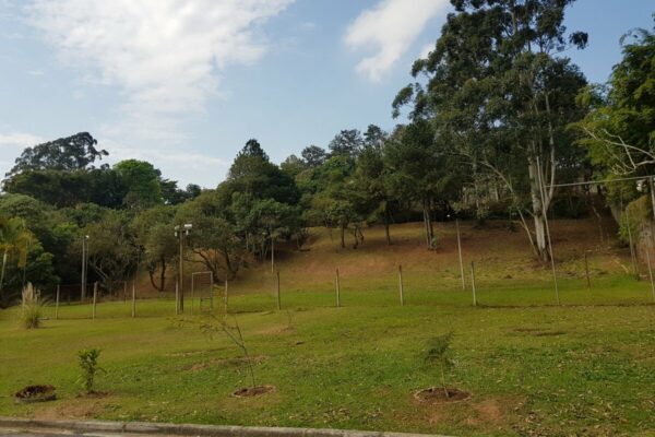 f66644ce bdc7 4404 ba2e 61c9e61353ec16262714726yby