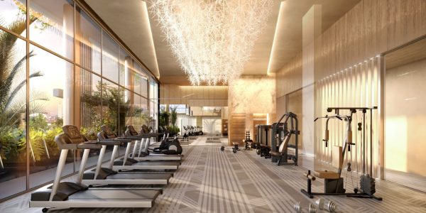 perspectiva fitness