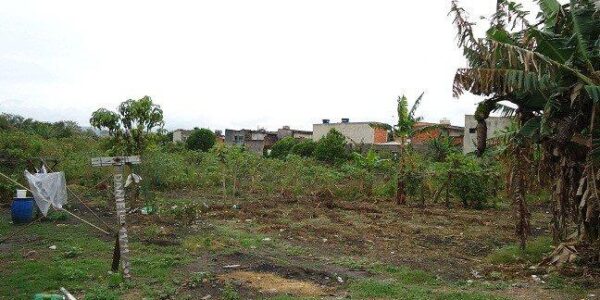 thumbnail img 5035 1