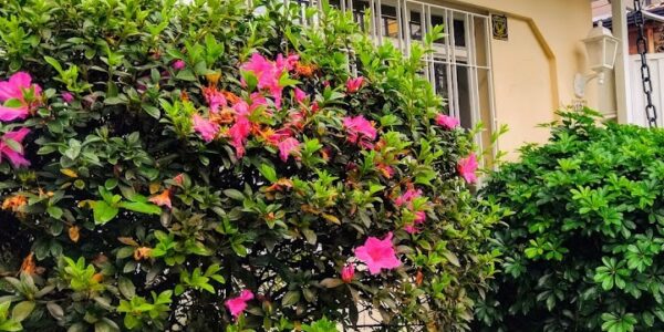 whatsapp image 2025 09 10 at 18.04.03