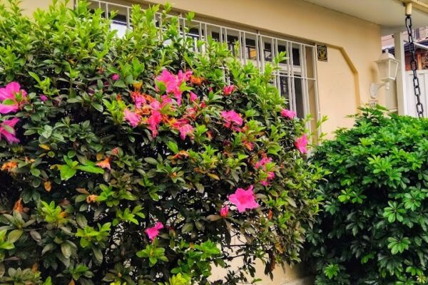 whatsapp image 2025 09 10 at 18.04.03